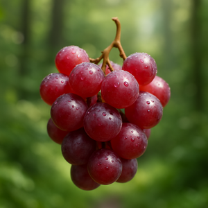 Red Fermented Grape Extract