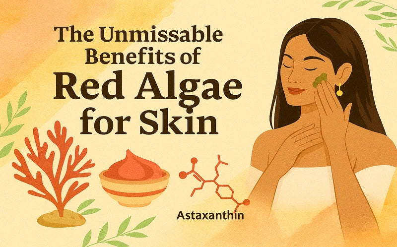 Red Algae Benefits for Skin: Natural Anti-Ageing and Radiance Boost